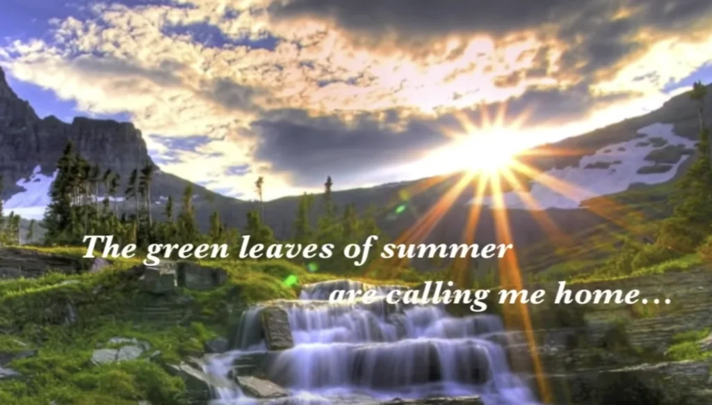 Green Leaves of Summer